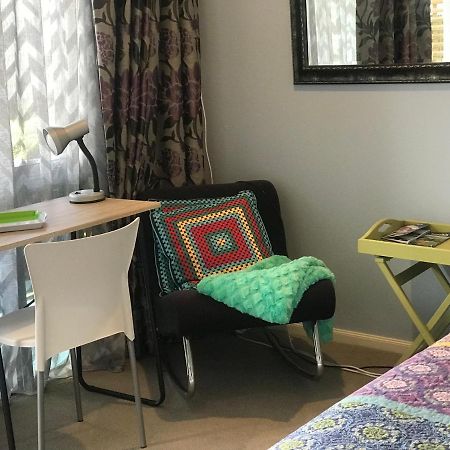 Cosy Caversham Retreat Dunedin Extérieur photo