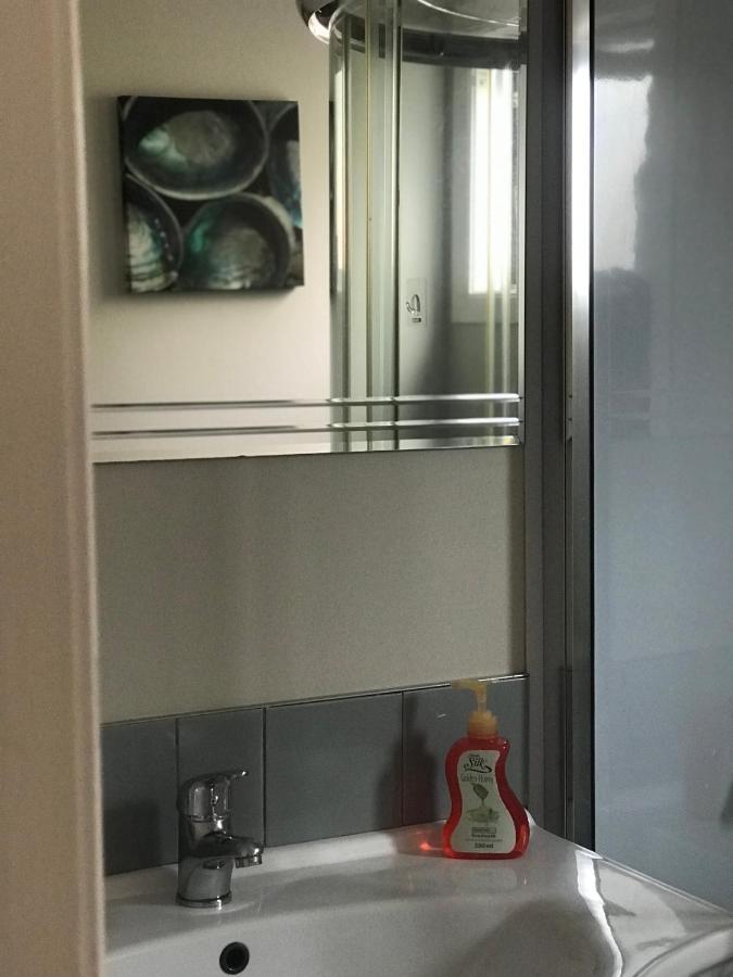 Cosy Caversham Retreat Dunedin Extérieur photo