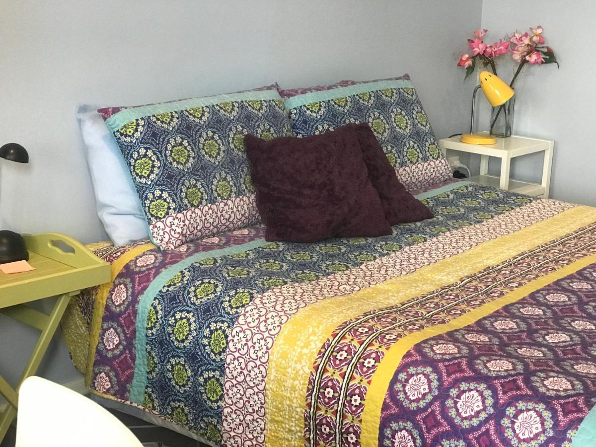 Cosy Caversham Retreat Dunedin Extérieur photo